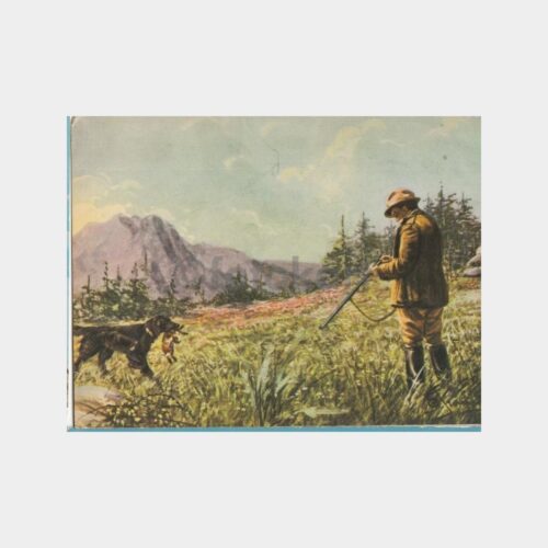 1980 Av ve Avcılık Konulu Kartpostal