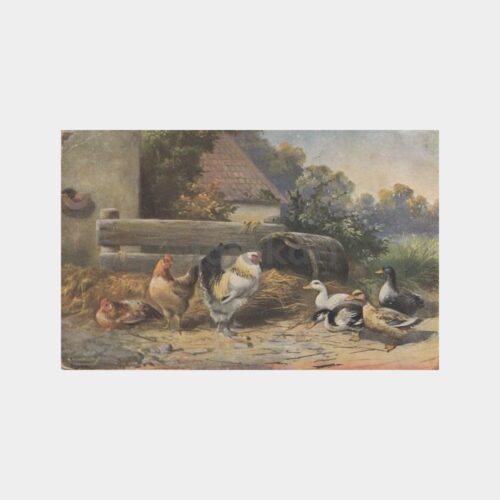 1920 Av ve Avcılık - Kümes Hayvanları Kartpostal