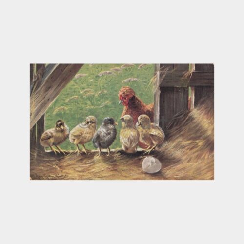 1920 Av ve Avcılık - Kümes Hayvanları Kartpostal