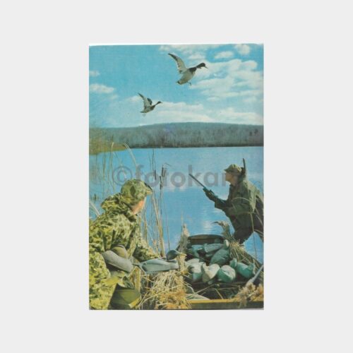 Av ve Avcılık Konulu Kartpostal