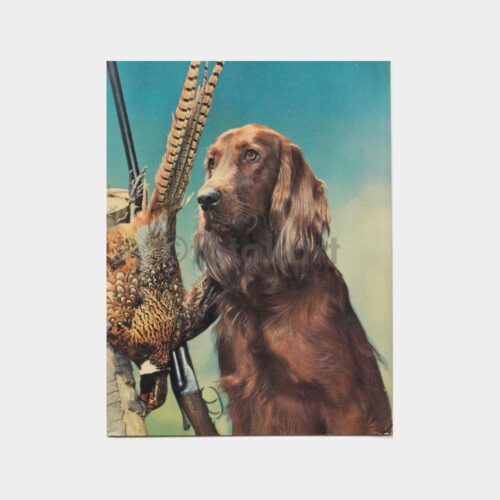 Av ve Avcılık Konulu Kartpostal