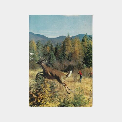 Av ve Avcılık Konulu Kartpostal