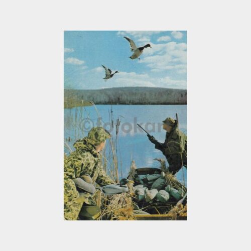 Av ve Avcılık Konulu Kartpostal