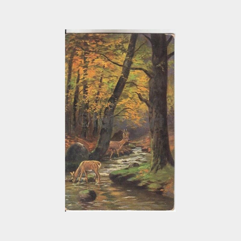 Av ve Avcılık Konulu Kartpostal