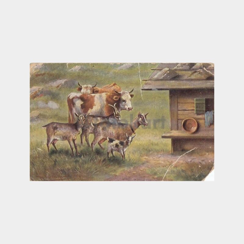 Av ve Avcılık Konulu Kartpostal