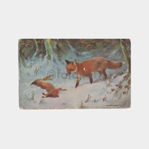 Av ve Avcılık Konulu Kartpostal