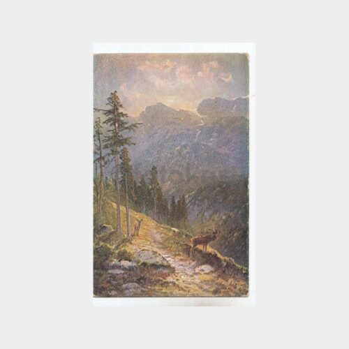 Av ve Avcılık Konulu Kartpostal