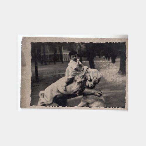 Aslanlı Geyikli Heykel Konulu Fotoğraf