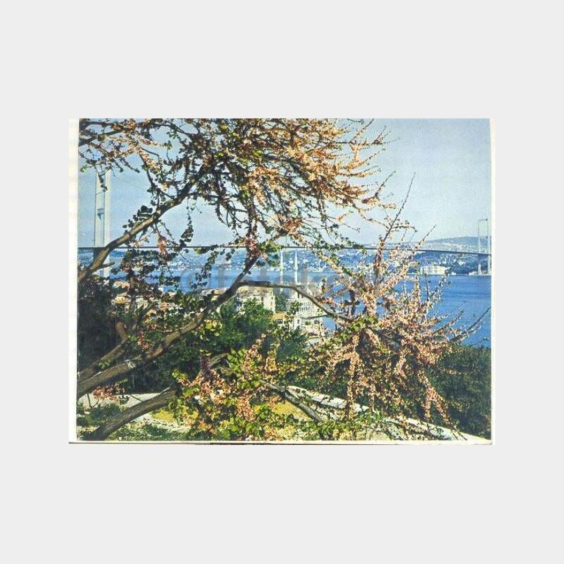 İstanbul Ortaköy Boğaziçi Köprüsü Tebrik Kartı