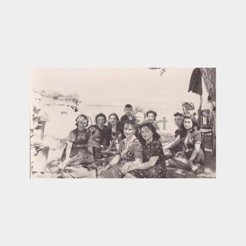 aile-mesire-gezi