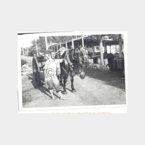 Kum Çeken At Arabası Konulu Fotoğraf