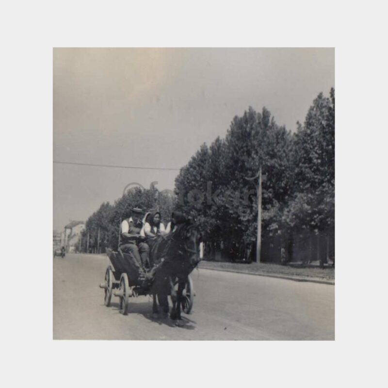 1950 At Arabası Konulu Fotoğraf
