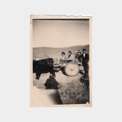1940 Kağnı Arabası Yolcu Köy Konulu Fotoğraf