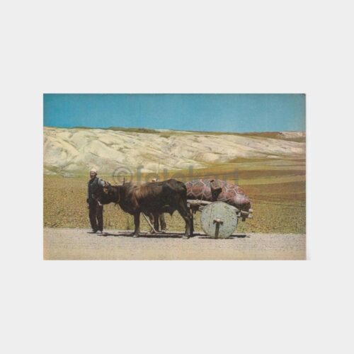 1970 Köy Temalı Tebrik Kartı (Manda Arabası)