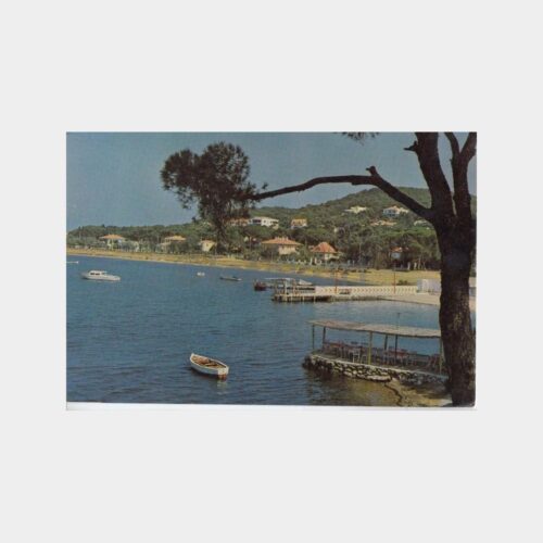 1974 Ayvalık Sahil Görünüş Kartpostal