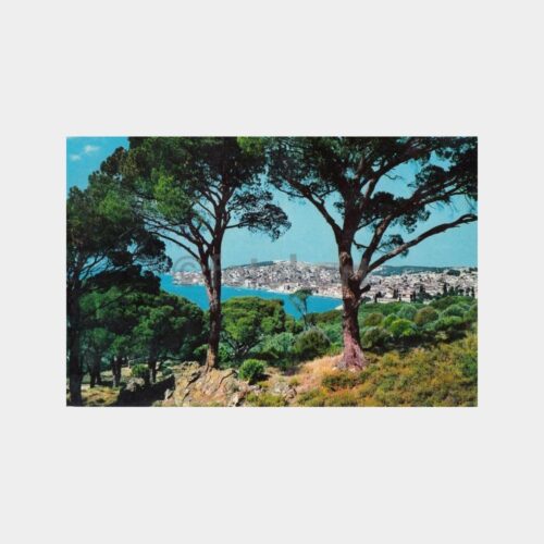 1974 Ayvalık Görünüş Kartpostal