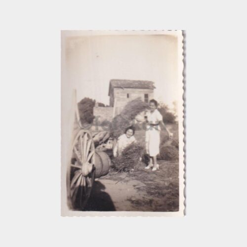 ciftlik-kadinlar