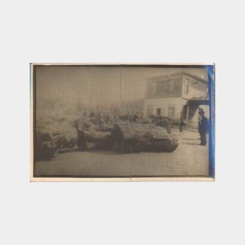 1933 Mudanya Köyde Kütükler Fotoğraf