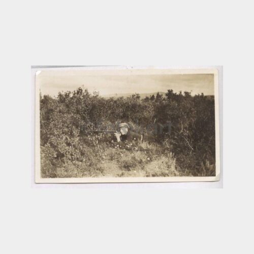 Avcı Nişan Alırken Görünüş Fotoğraf