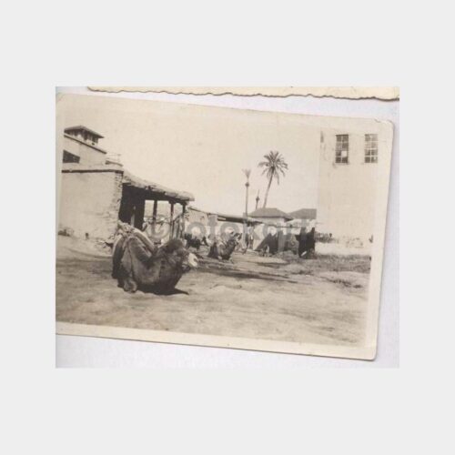 Ihlatmak Yazılı Orta Doğu Konulu Fotoğraf