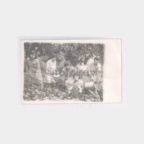 1930 Kız Öğrenciler Tabiat Dersinde Görünüş Fotoğraf