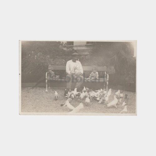 1940 Park - Baba Kızı ve Güvercinler Fotoğraf