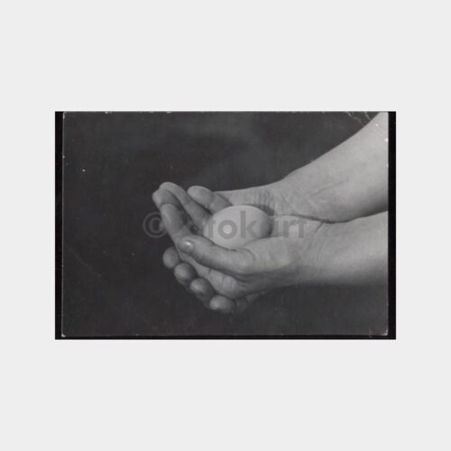 Sanatsal Bir Fotoğraf Çalışması