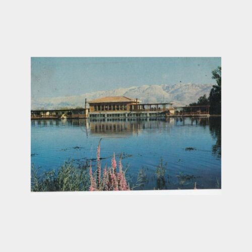 1980 Erzincan Acısu Görünüş Kartpostal