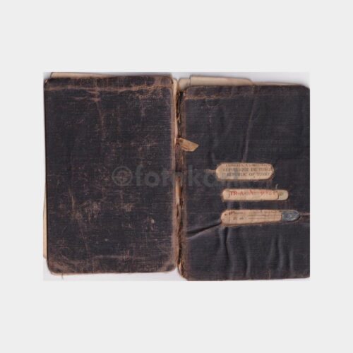 almanya-isci-pasaport