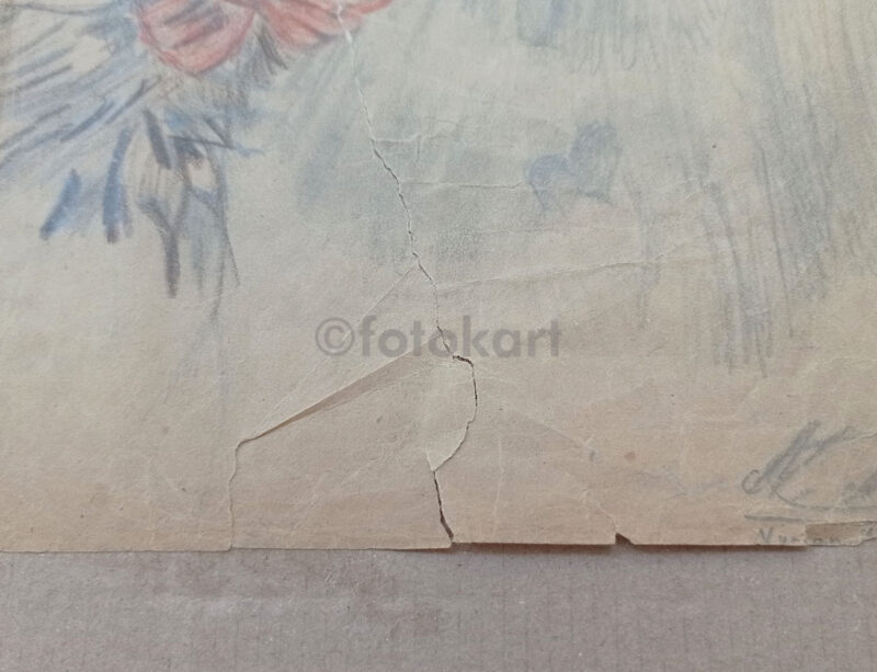 Nurdan İsimli Ressam-Sanatçı Çalışması - Köpek ve Kedi - Görsel 5