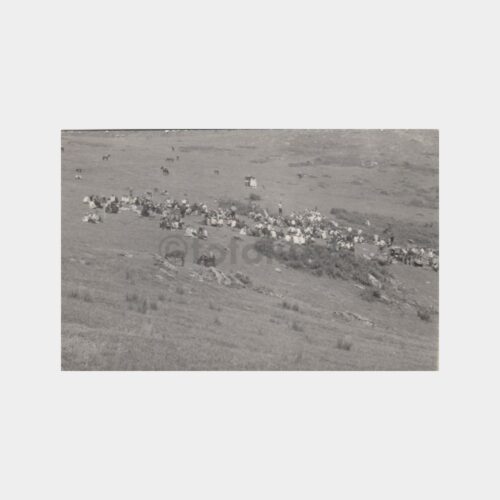 1967 Karadeniz Yayla Festival Grup Fotoğraf