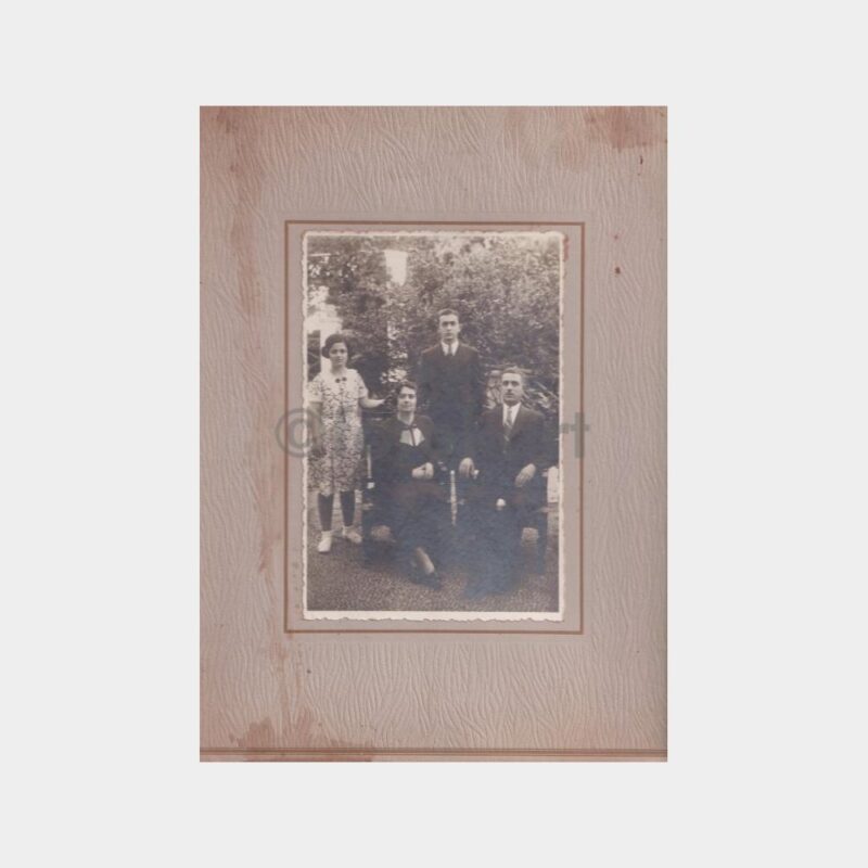 rodos-aile