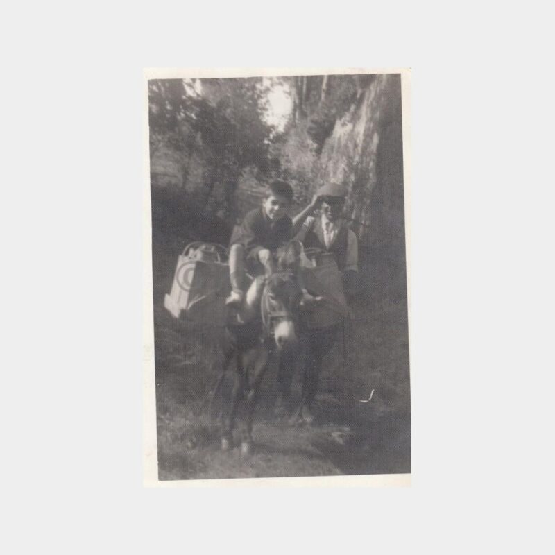 Su Taşıyan Saka ve Eşek Fotoğraf