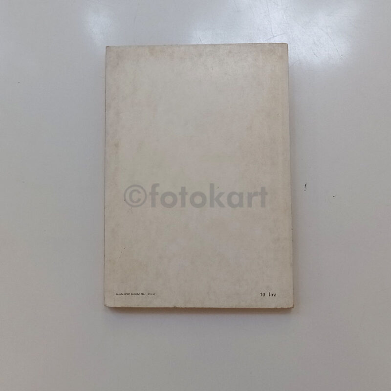 Vietnam Şiiri - A. Kadir, Afşar Timuçin - Görsel 2