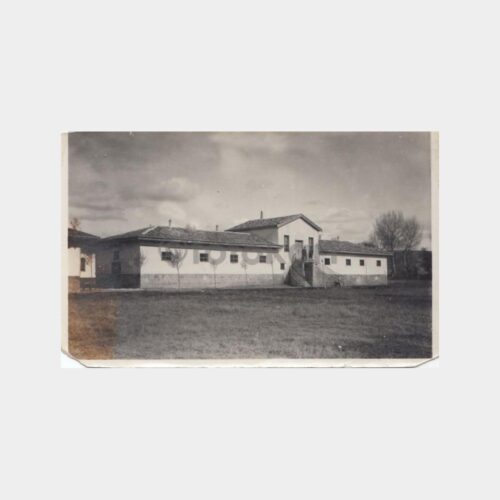 1950 At Harası Görünüş Fotoğraf