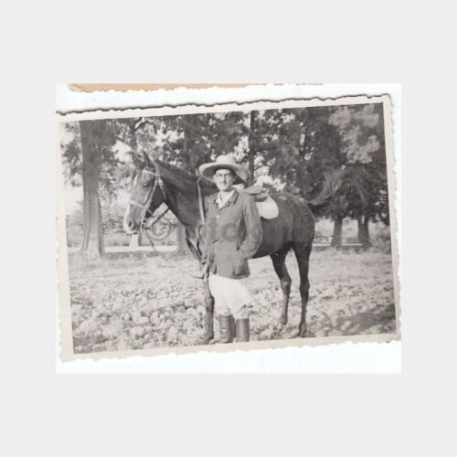 At Sahibi Konulu Fotoğraf