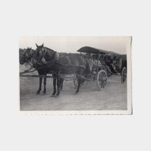 1940 Fayton Konulu Fotoğraf