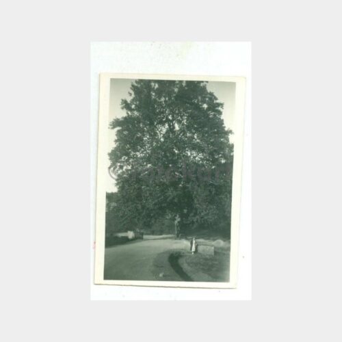 1933 Boğaziçi Hacıosman Bayırı Fotoğraf