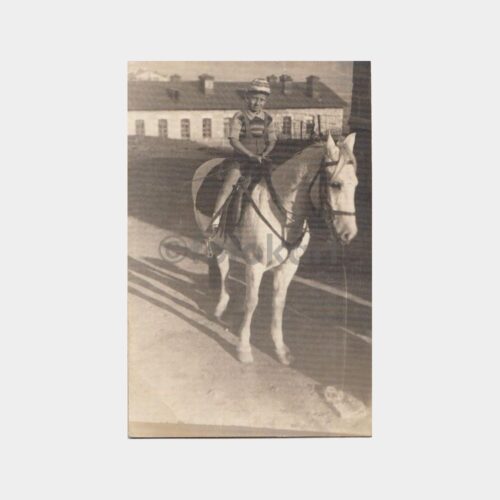 1970 Yarış Atı Konulu Fotoğraf