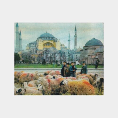 1975 Ayasofya Önünde Kurbanlıklar Görünüş Kartpostal