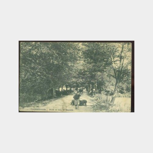 1910 İstanbul - Belgrad Ormanları Görünüş Kartpostal