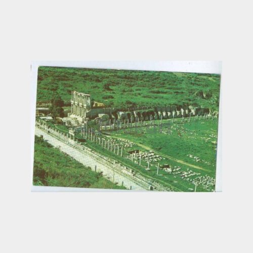 Efes Antik Şehir Görünüş Kartpostal