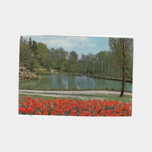 İstanbul Emirgan Parkı Laleler Görünüş Kartpostal