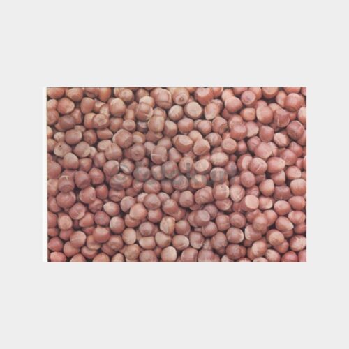 1984 Fisko Birlik Fındık Konulu Tebrık Kartı