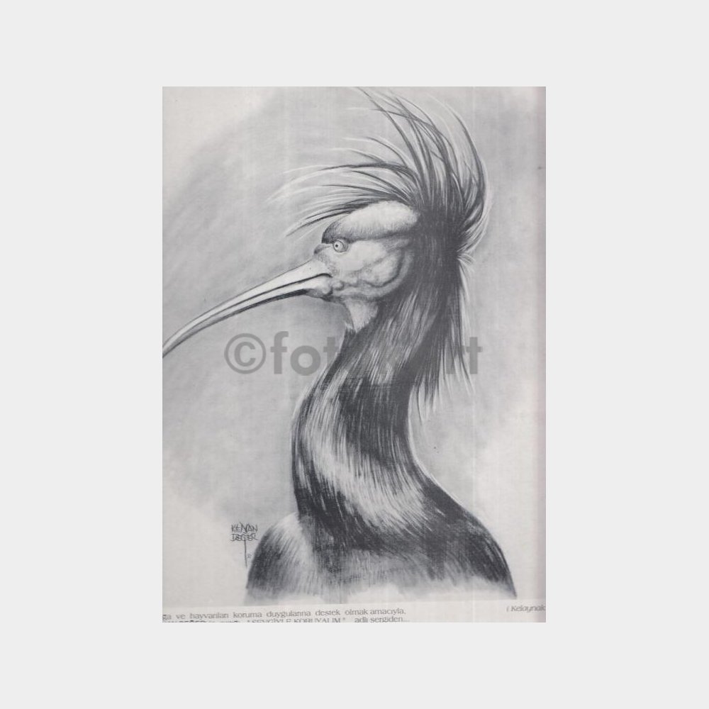 Kenan Değer Sergisinden Karton Afiş (Kelaynak)