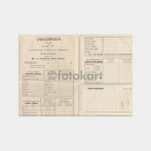 1929 Kimyager İsmail Hakkı - Analiz Rapor Formu
