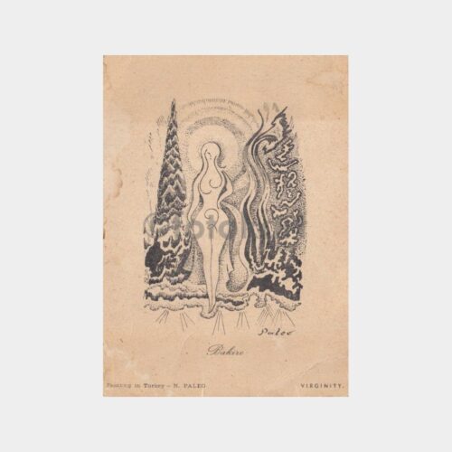 1960 Paleo İlaç Firması Tanıtım Kartı