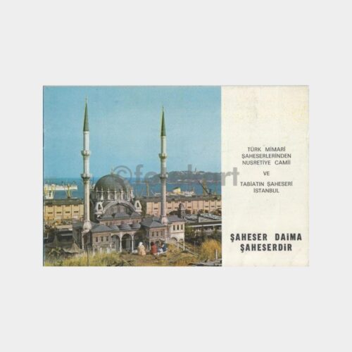 1969 Pfizer Veteriner İlaçları Broşürü