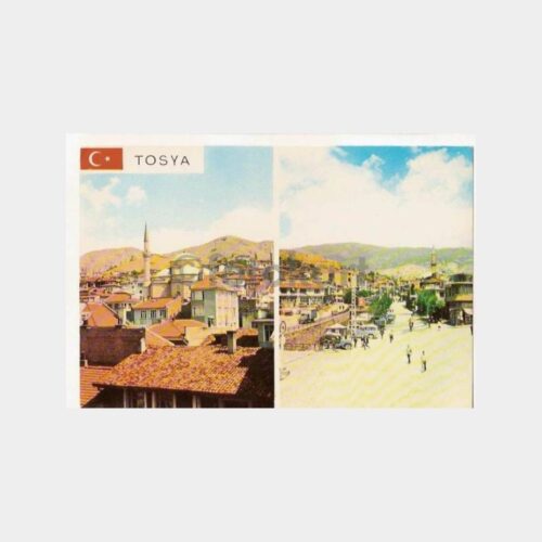 Tosya Yeni Cami ve Çaybaşı Mahallesi Kartpostal
