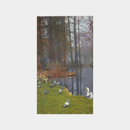 1971 İstanbul Yıldız Parkı - Şişli Damgalı Kartpostal